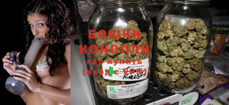 mega ссылка  продажа наркотиков  Макаров  Шишки марихуана Ganja 